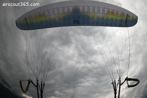 OZONE Swift 4 MS